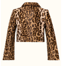 Laden Sie das Bild in den Galerie-Viewer, Fran Jacke cat
